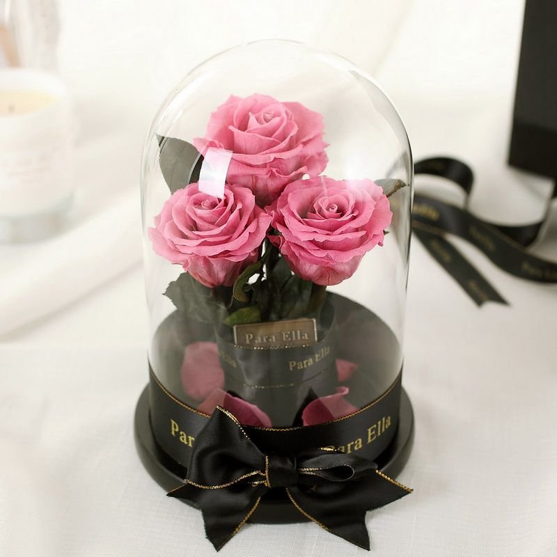 Colorful preserved freeze dried roses flower in glass