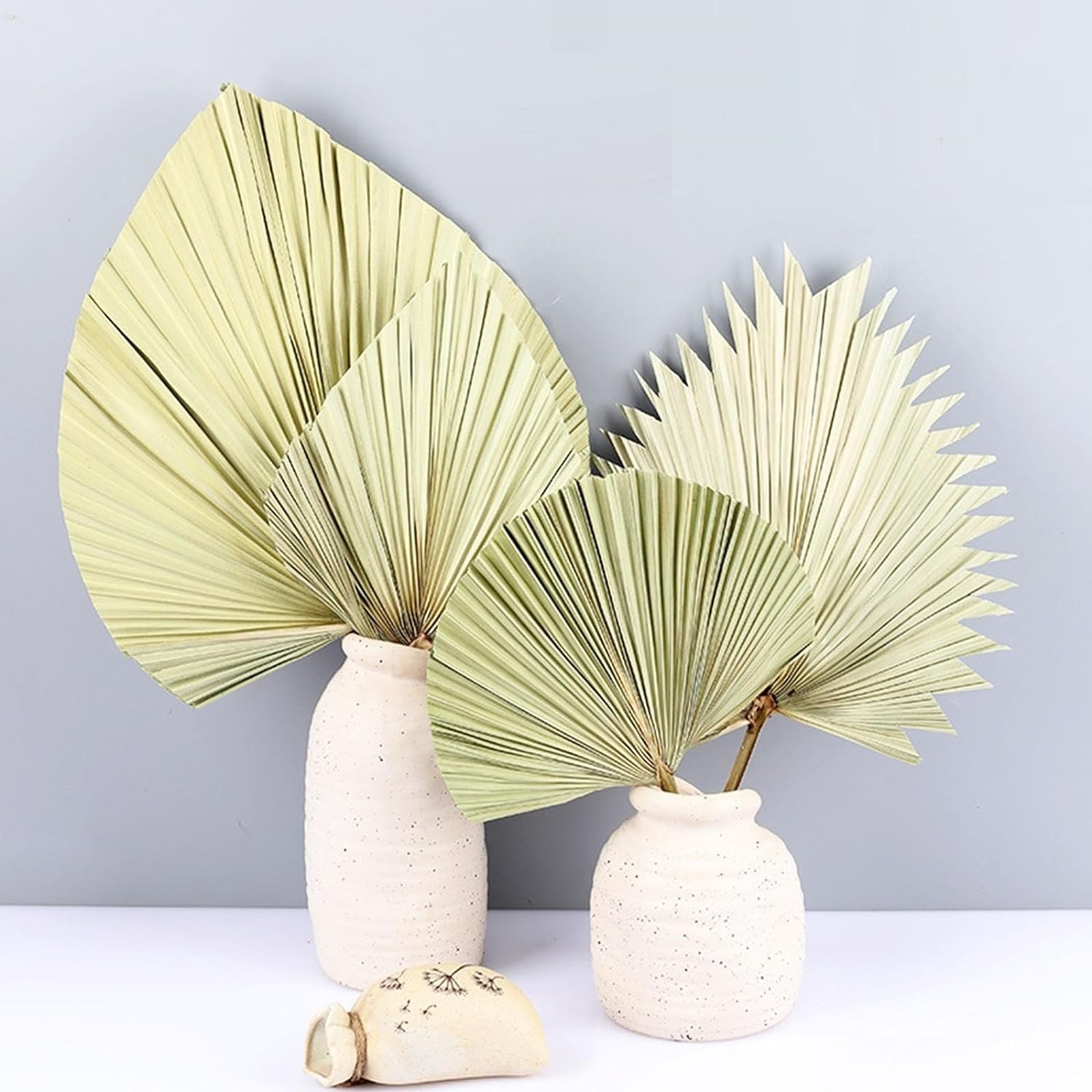 Natural Dried Real Palm Spears Flowers Arrangement Prune Palm Frond Leaves Palm Leaf Fan for Boho Wedding Home Decor