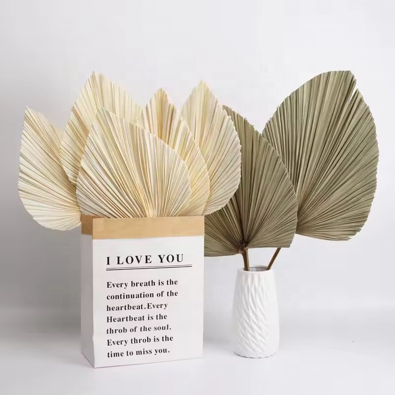 Natural Dried Real Palm Spears Flowers Arrangement Prune Palm Frond Leaves Palm Leaf Fan for Boho Wedding Home Decor