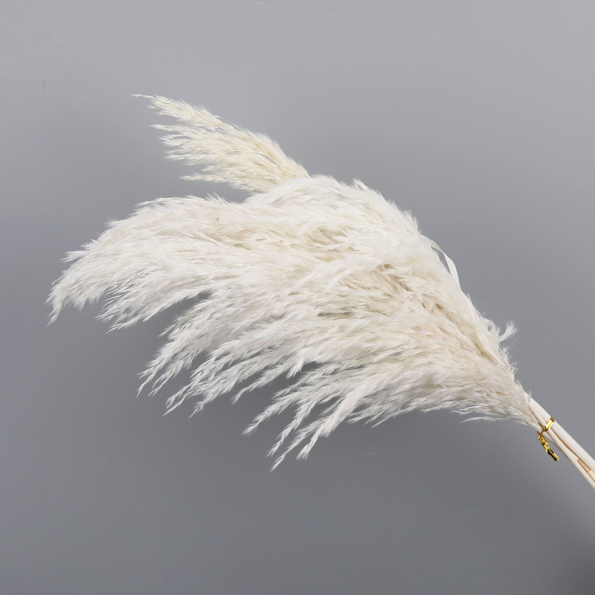 wholesale decorative flower Most popular cheap dried flowers fluffy white brown pampas grass for decoration