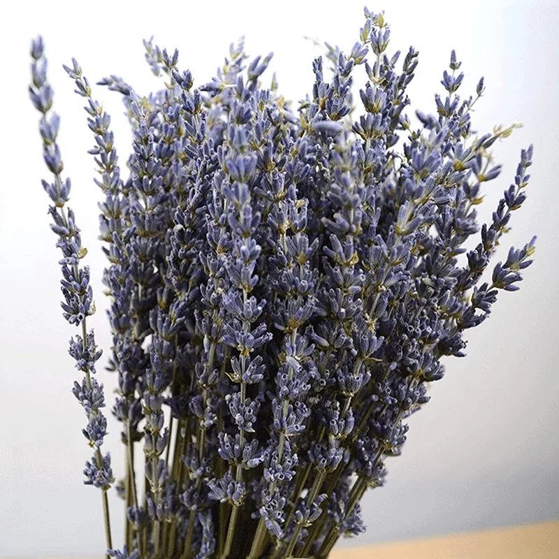 Dried Lavender Flowers Bunches for Wedding Decoration Home Fragrance Bridal Bouquet