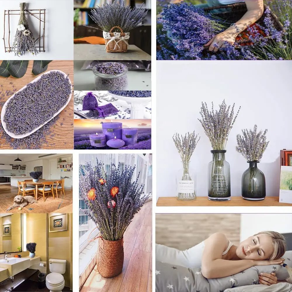 Dried Lavender Flowers Bunches for Wedding Decoration Home Fragrance Bridal Bouquet