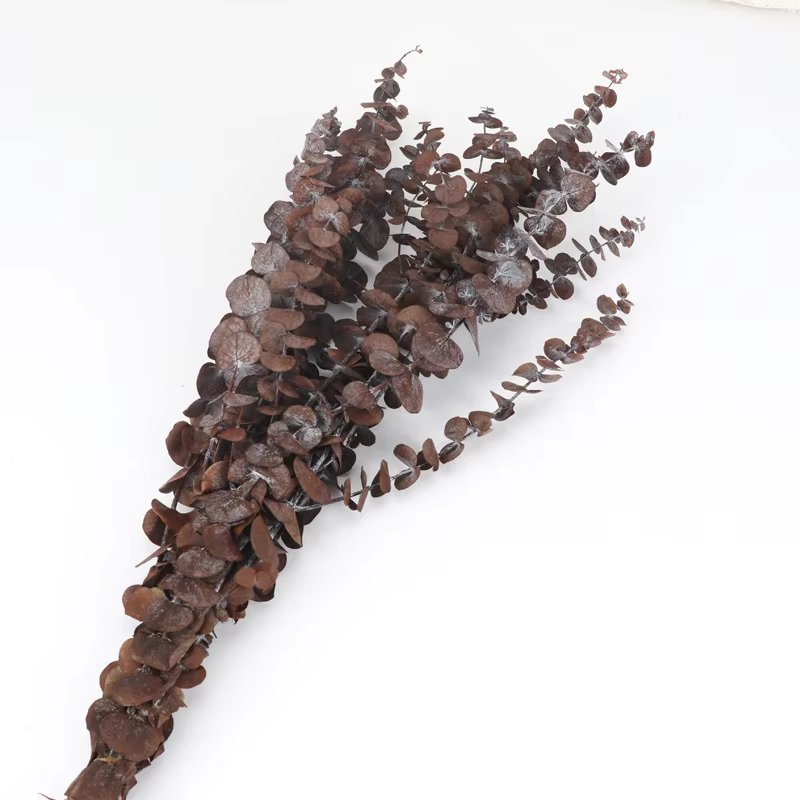Factory Whosale red Preserved Flowers Plants Dried Eucalyptus Bundle Fresh Eucalyptus Branches