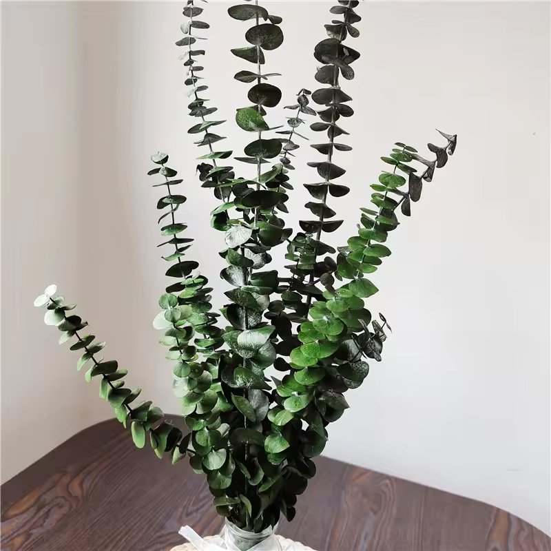 Factory Whosale red Preserved Flowers Plants Dried Eucalyptus Bundle Fresh Eucalyptus Branches