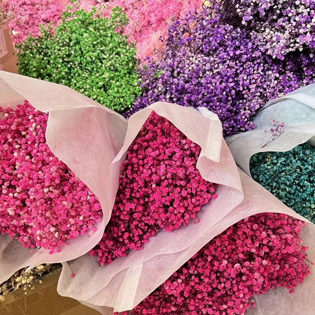 Wholesale Baby Breath Pampas Grass Bouquet Preserved Gypsophila Dried Flowers Multiple Colors Graduation Halloween Easter