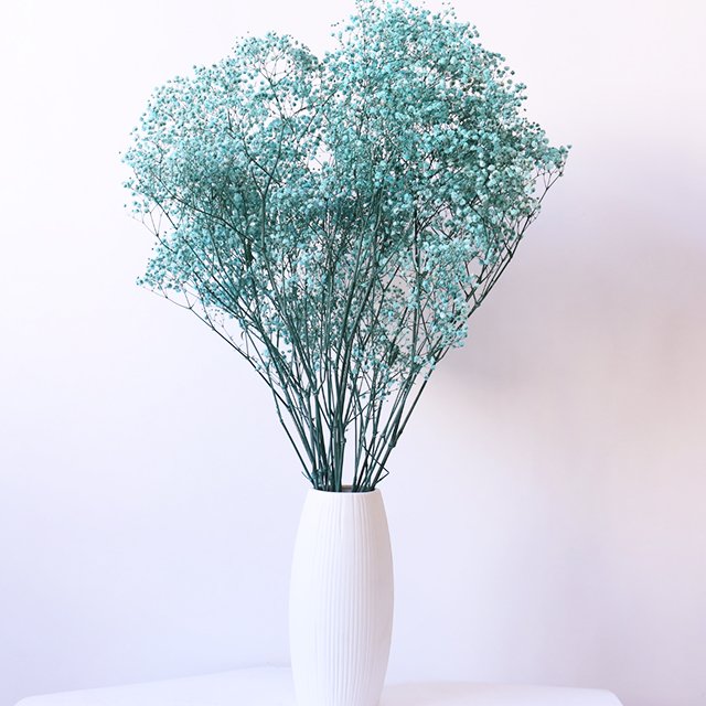 Wholesale Baby Breath Pampas Grass Bouquet Preserved Gypsophila Dried Flowers Multiple Colors Graduation Halloween Easter