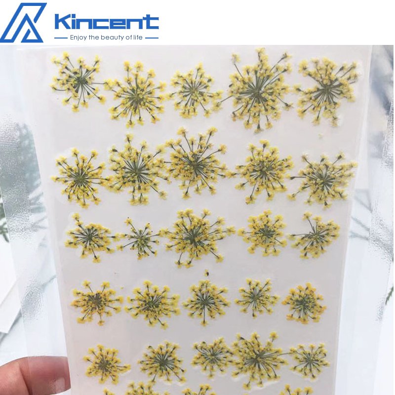 1000PCS Natural Real Flowers Dried Pressed Minoan Lace Dyed Natural DIY Flowers Material