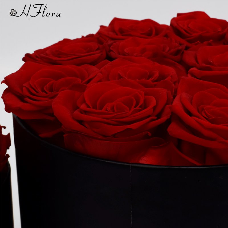 HFlora Factory Supplier Classic Red Real Roses Graduation Back to School Thanksgiving Day Gift Finished Preserved Rose Gift Box