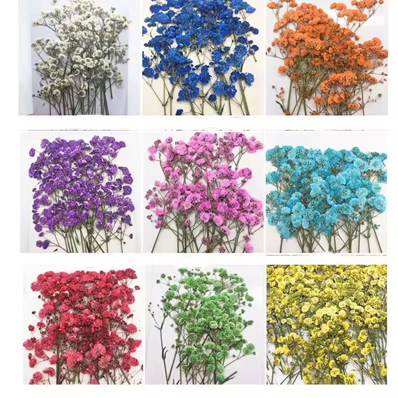 Wholesale Artificial Natural Dried Baby Breath Flowers Gypsophila Embossing for Wedding Home Party Decor DIY Materials