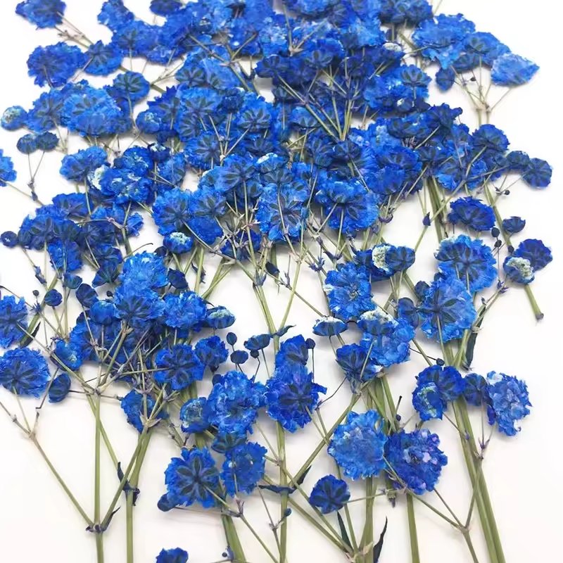 Wholesale Artificial Natural Dried Baby Breath Flowers Gypsophila Embossing for Wedding Home Party Decor DIY Materials