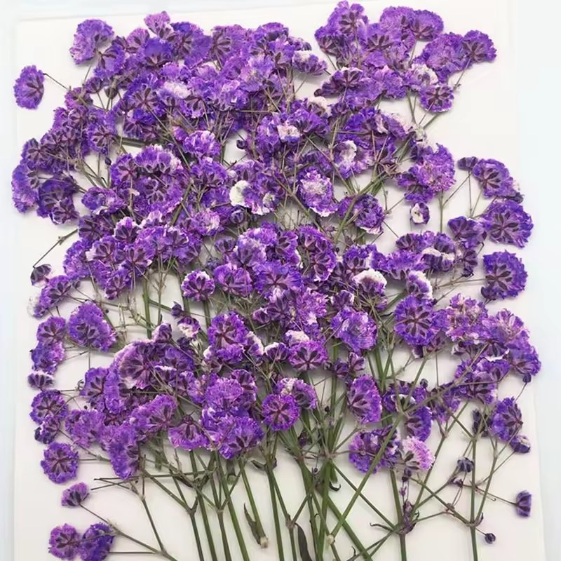 Wholesale Artificial Natural Dried Baby Breath Flowers Gypsophila Embossing for Wedding Home Party Decor DIY Materials