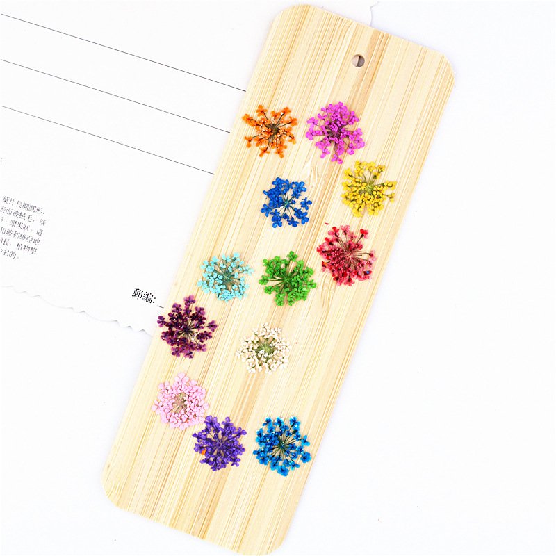 Hot selling real dried flowers pressed flowers babysbreath for Nail decoration