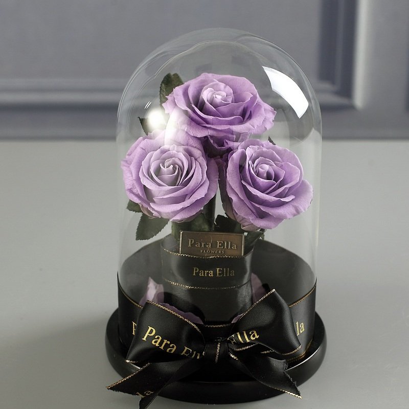 Wholesale Beauty Beast Belle Everlasting Decorative Flower Gift Box Forever Eternal Preserved Roses in Glass Dome