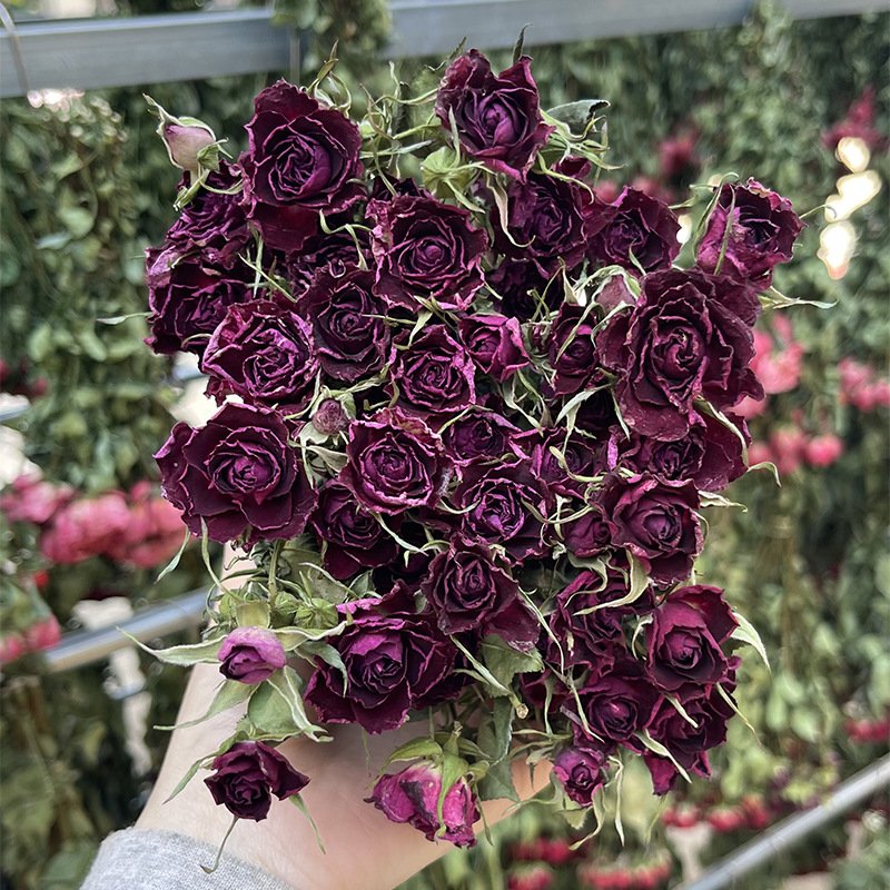Wholesale Flower Dry Rose Flowers Bouquet Natural Dried Multi-head Roses For Home house Decoration Wedding