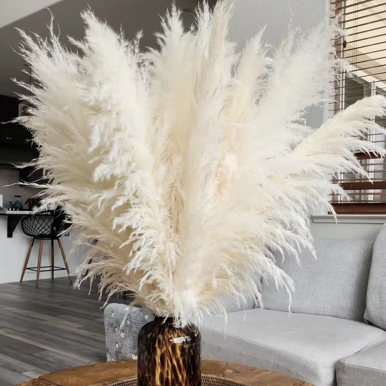 A-2 3 Stems Tall WHITE PAMPAS GRASS 3-4ft Grand Sale Dry Flowers Home Decor Boho Decor Wedding Floral Decor | Pampas Bouquet