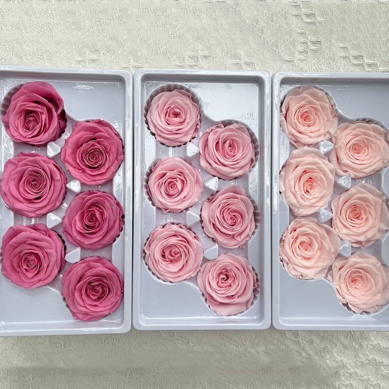 A Grade High Quality Real Natural Eternal Forever Immortal Flower Rose Head DIY Preserved Roses Flowers