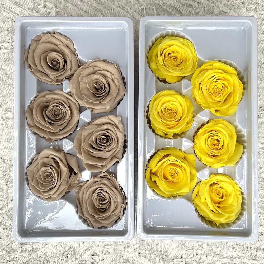 A Grade High Quality Real Natural Eternal Forever Immortal Flower Rose Head DIY Preserved Roses Flowers