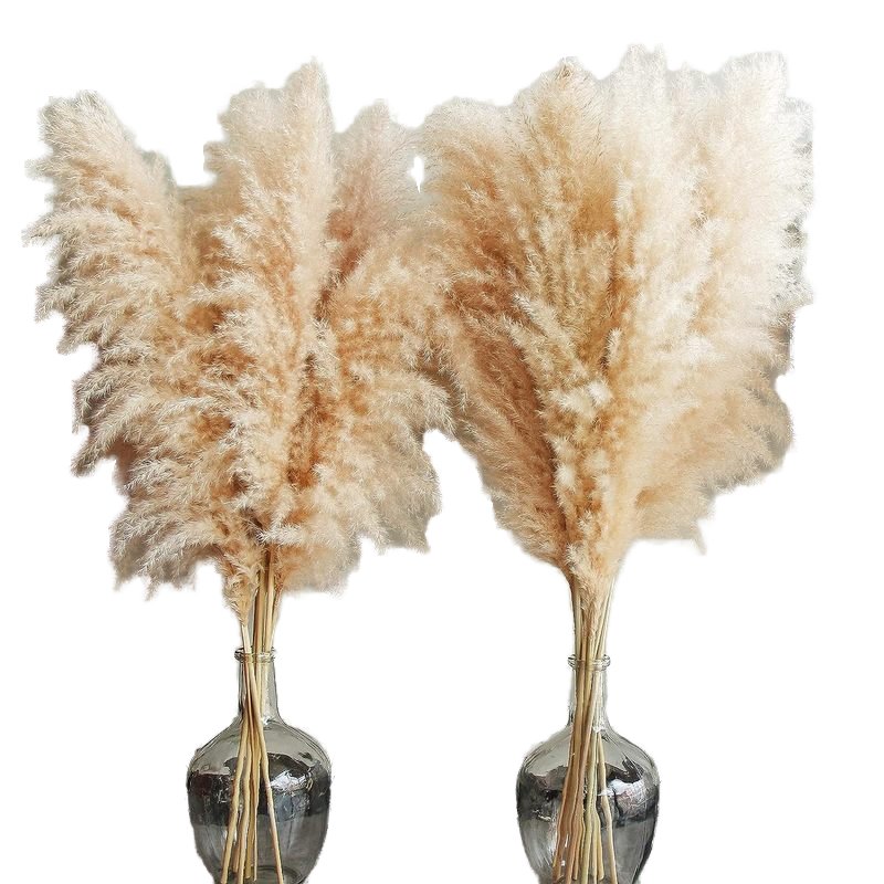 45 Inch Bohemian Style Wedding Party Home Decor Wedding Decoration Tall Pampas Grass Boho Colorful Dried Flower