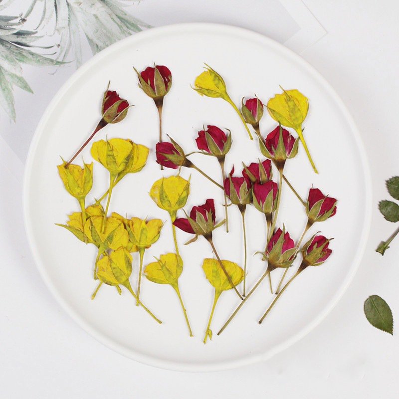 Wholesale Price DIY Pressed Dried Dried Flower Petal Pressed Flower Rose Petals For Diy Epoxy Resin Floral Use