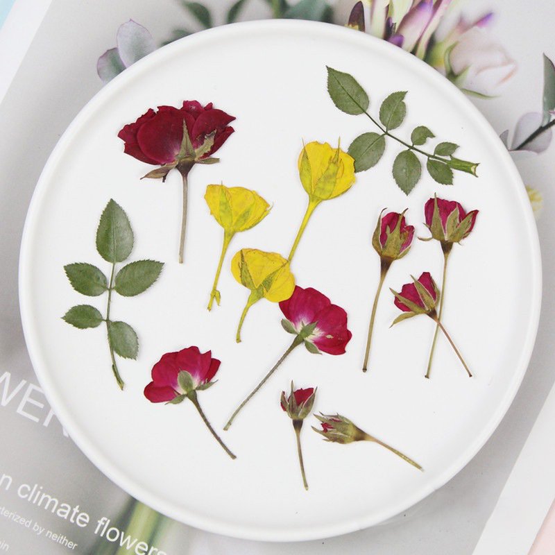Wholesale Price DIY Pressed Dried Dried Flower Petal Pressed Flower Rose Petals For Diy Epoxy Resin Floral Use