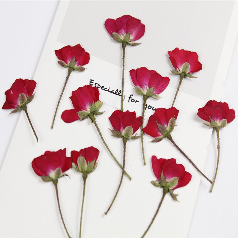 Wholesale Price DIY Pressed Dried Dried Flower Petal Pressed Flower Rose Petals For Diy Epoxy Resin Floral Use