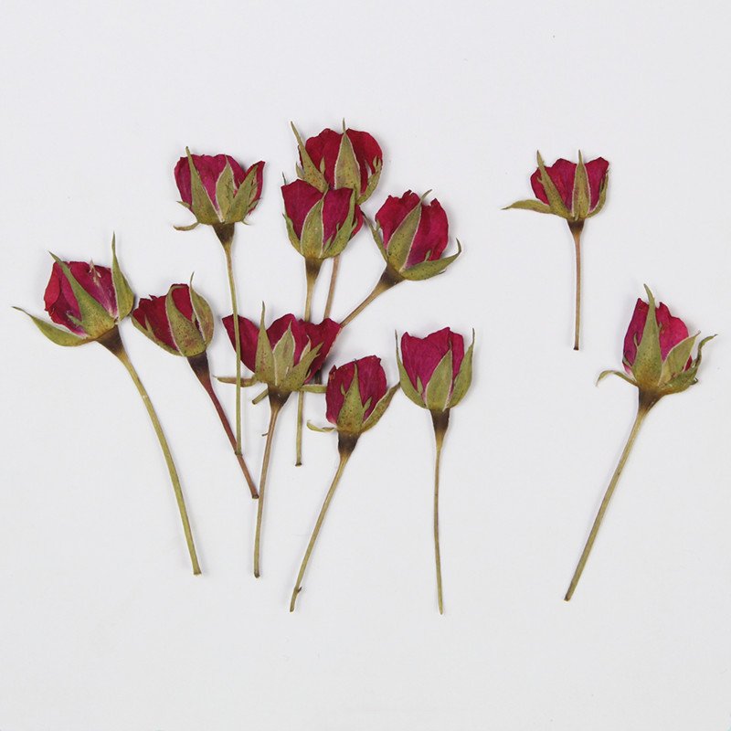 Wholesale Price DIY Pressed Dried Dried Flower Petal Pressed Flower Rose Petals For Diy Epoxy Resin Floral Use