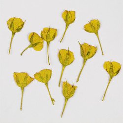 3#