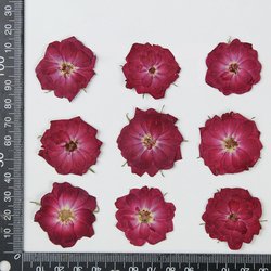 5#