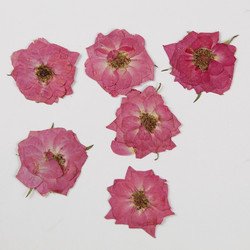 6#