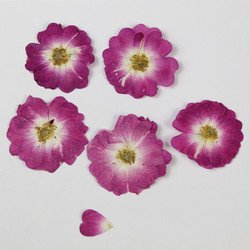 8#