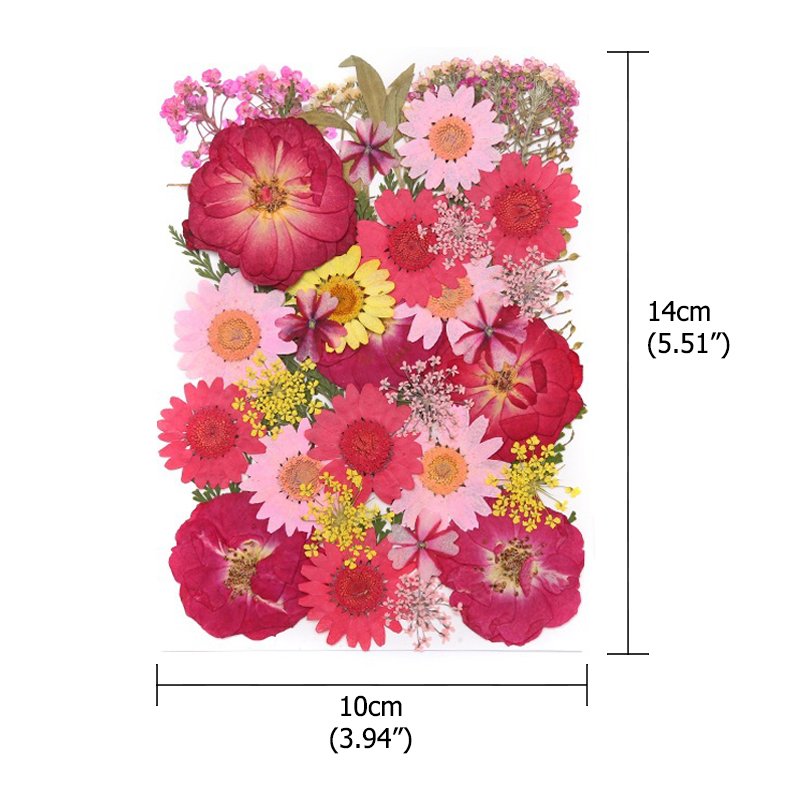 Handicraft Flower Press Bulk Mixed Pack Fresh Real Pressed Natural dried Flowers Dried Pressed Flower for resin