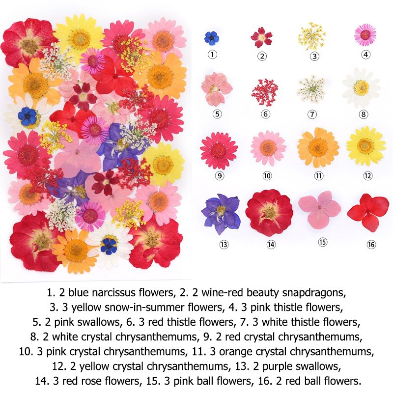 Handicraft Flower Press Bulk Mixed Pack Fresh Real Pressed Natural dried Flowers Dried Pressed Flower for resin