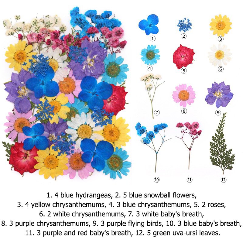 Handicraft Flower Press Bulk Mixed Pack Fresh Real Pressed Natural dried Flowers Dried Pressed Flower for resin