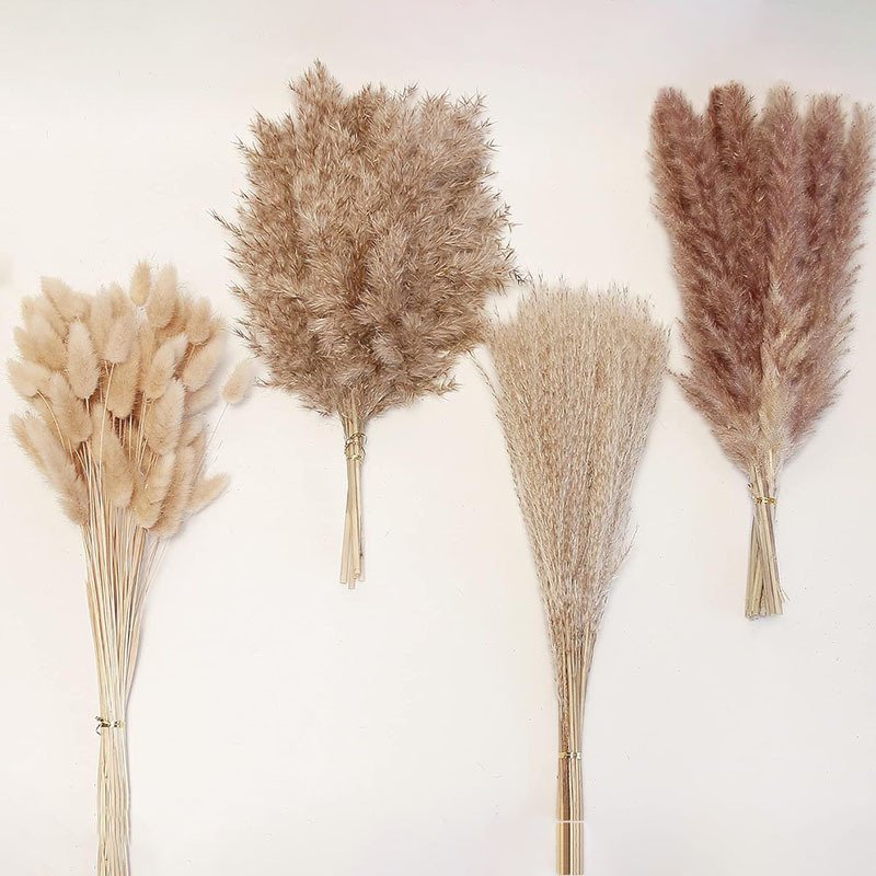 High Quality Bohemian flower arrangement Rabbit Tail Grass Dry Pampas Reed Grass for Home wedding New yearsDecorating