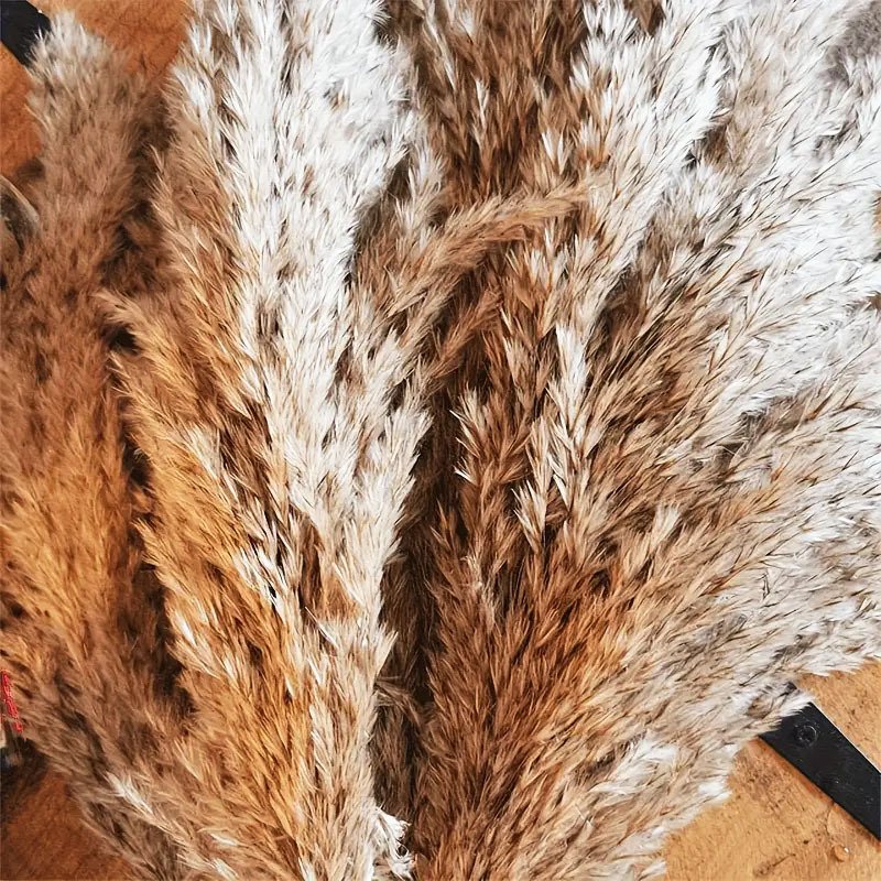 High Quality Bohemian flower arrangement Rabbit Tail Grass Dry Pampas Reed Grass for Home wedding New yearsDecorating