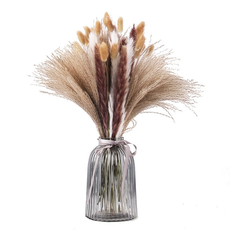 High Quality Bohemian flower arrangement Rabbit Tail Grass Dry Pampas Reed Grass for Home wedding New yearsDecorating