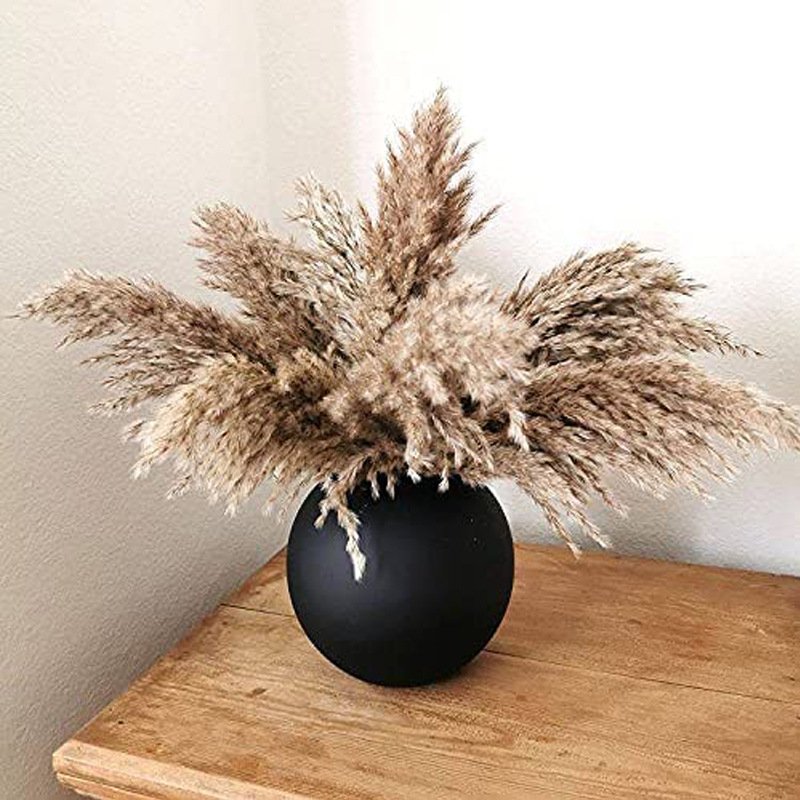 High Quality Bohemian flower arrangement Rabbit Tail Grass Dry Pampas Reed Grass for Home wedding New yearsDecorating