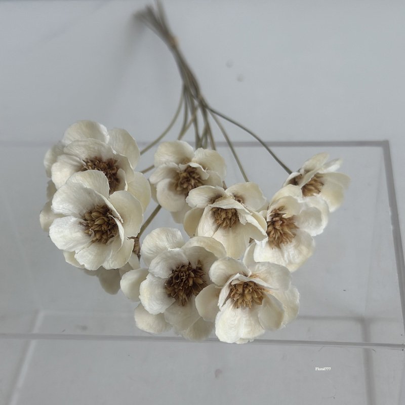 Natural Dried Windflower Preserved Handmade Flowers Simulation Narcissus Flowers Convallaria majalis Handmade Plumblossom