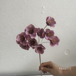 Pink-purple