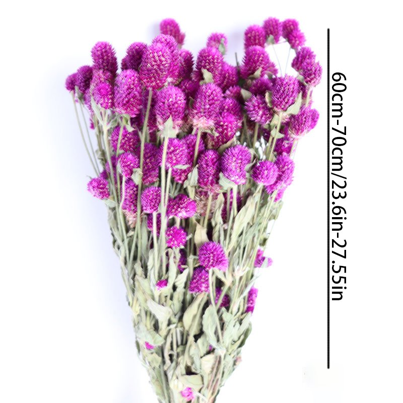 Dried Flower Thousand Day Red High End Decorative Dried Flowers Preserved Dried Gomphrena Globosa For Bonsai Decor