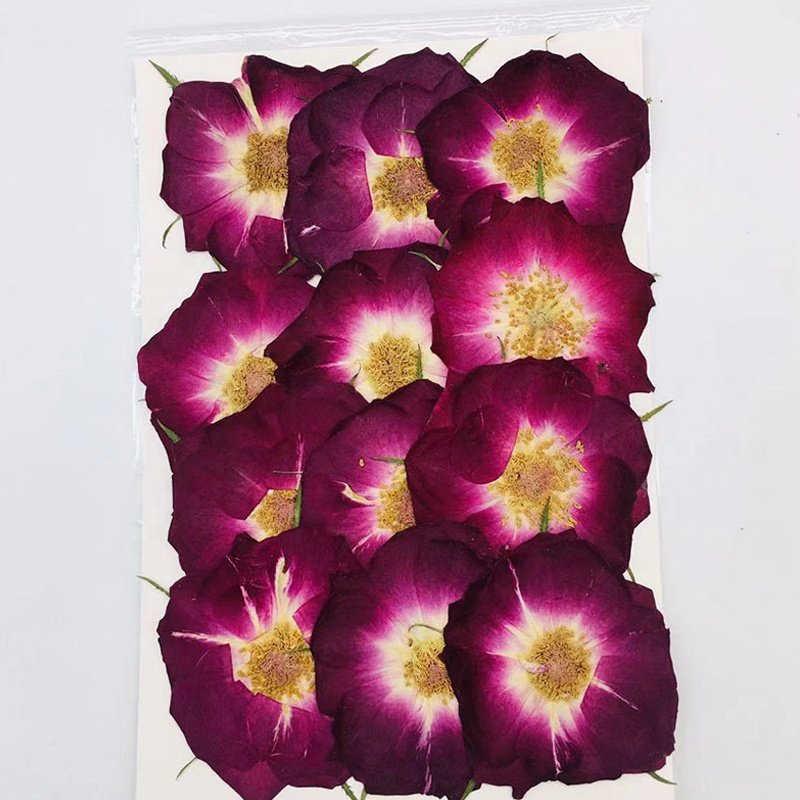 Dried Pressed Rose 4-6cm Natual Real Rose Dried Flowers For Crafts Art Resin