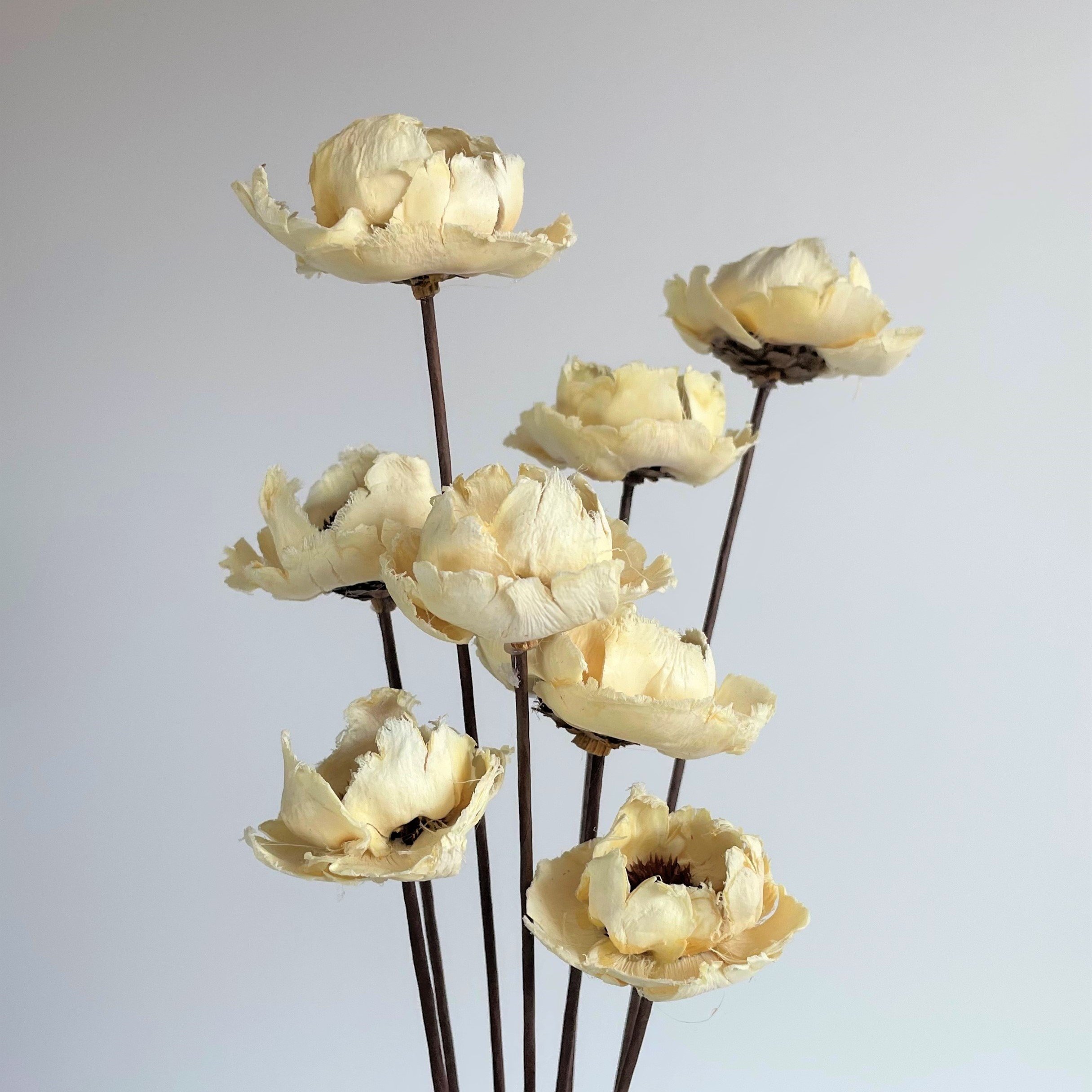Handmade Flowers with stems Home Wedding Decor High dried Flowers