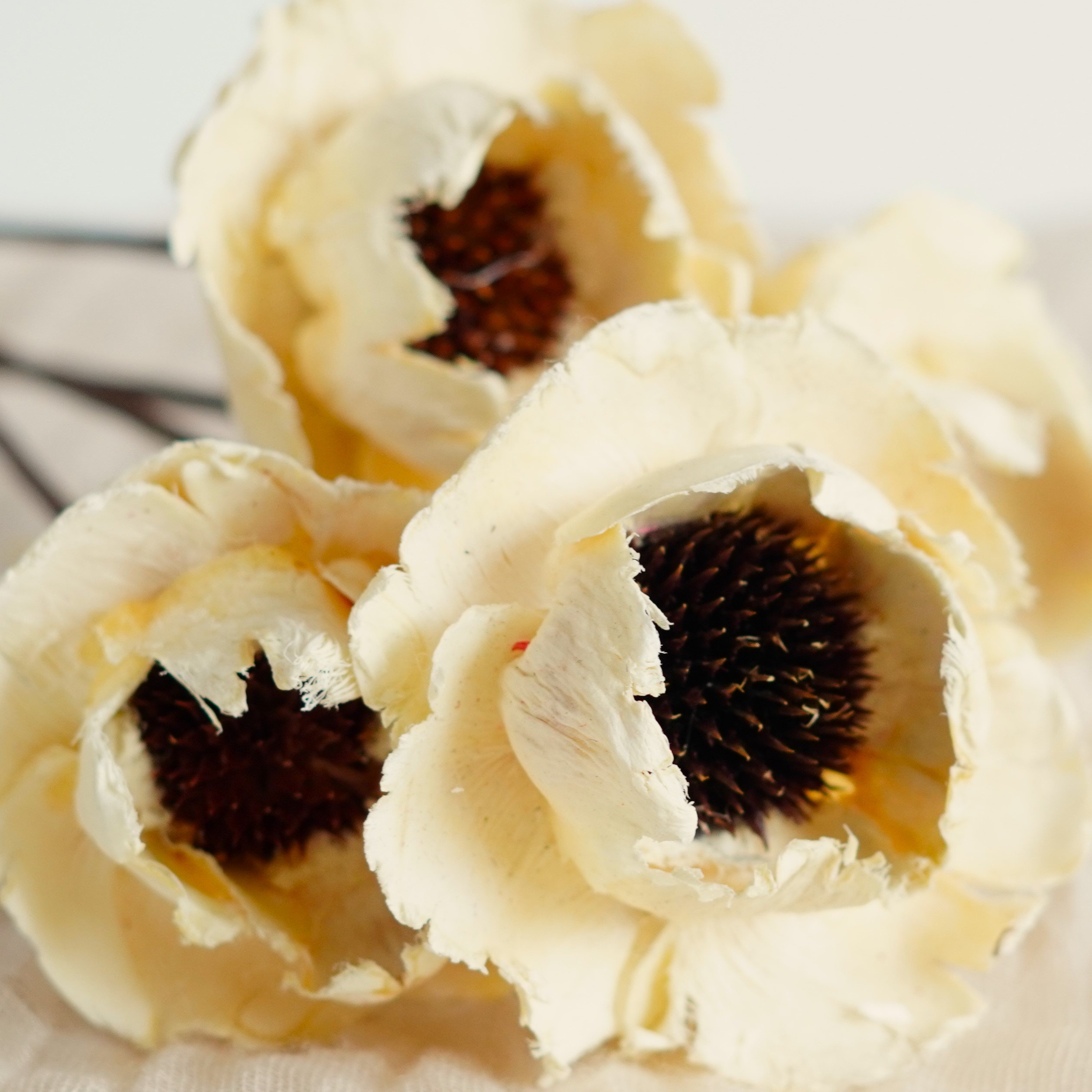 Handmade Flowers with stems Home Wedding Decor High dried Flowers