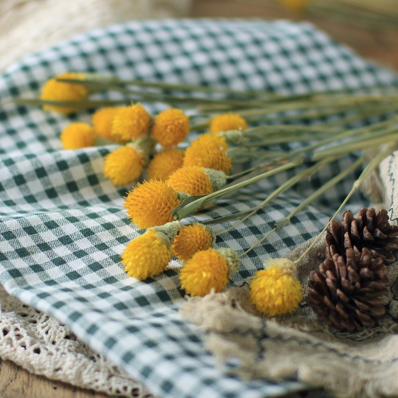 SumFlora new product natural dried flowers Globe amaranth for decoration