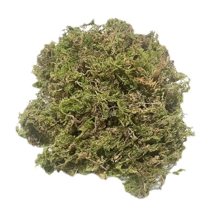 Dried Moss Quality Natural Muscus Dry Musci For Dried Flower Preserved Flower Gift Box Wreath Potted Plant Wedding Decor