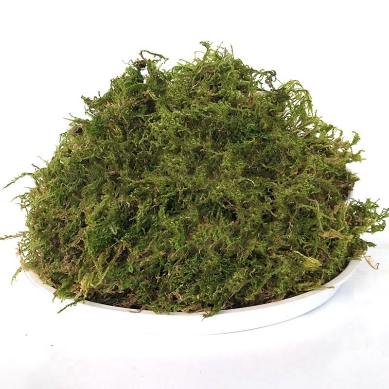 Dried Moss Quality Natural Muscus Dry Musci For Dried Flower Preserved Flower Gift Box Wreath Potted Plant Wedding Decor