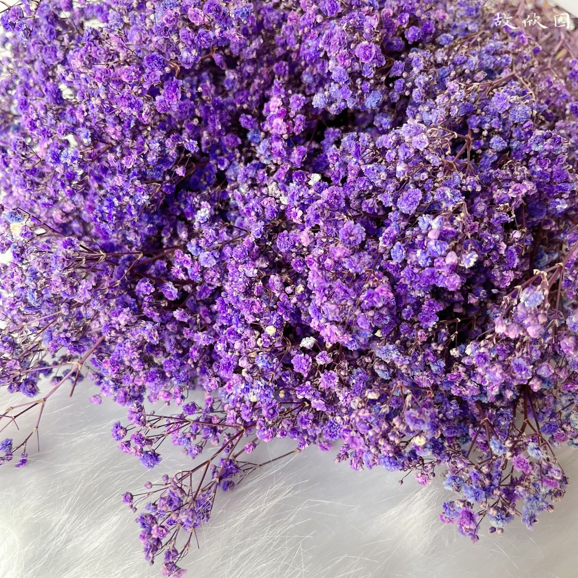 Dried Flower Decoration Gypsophila Preserved Dried Babysbreath Flower Gypsophila For Wedding