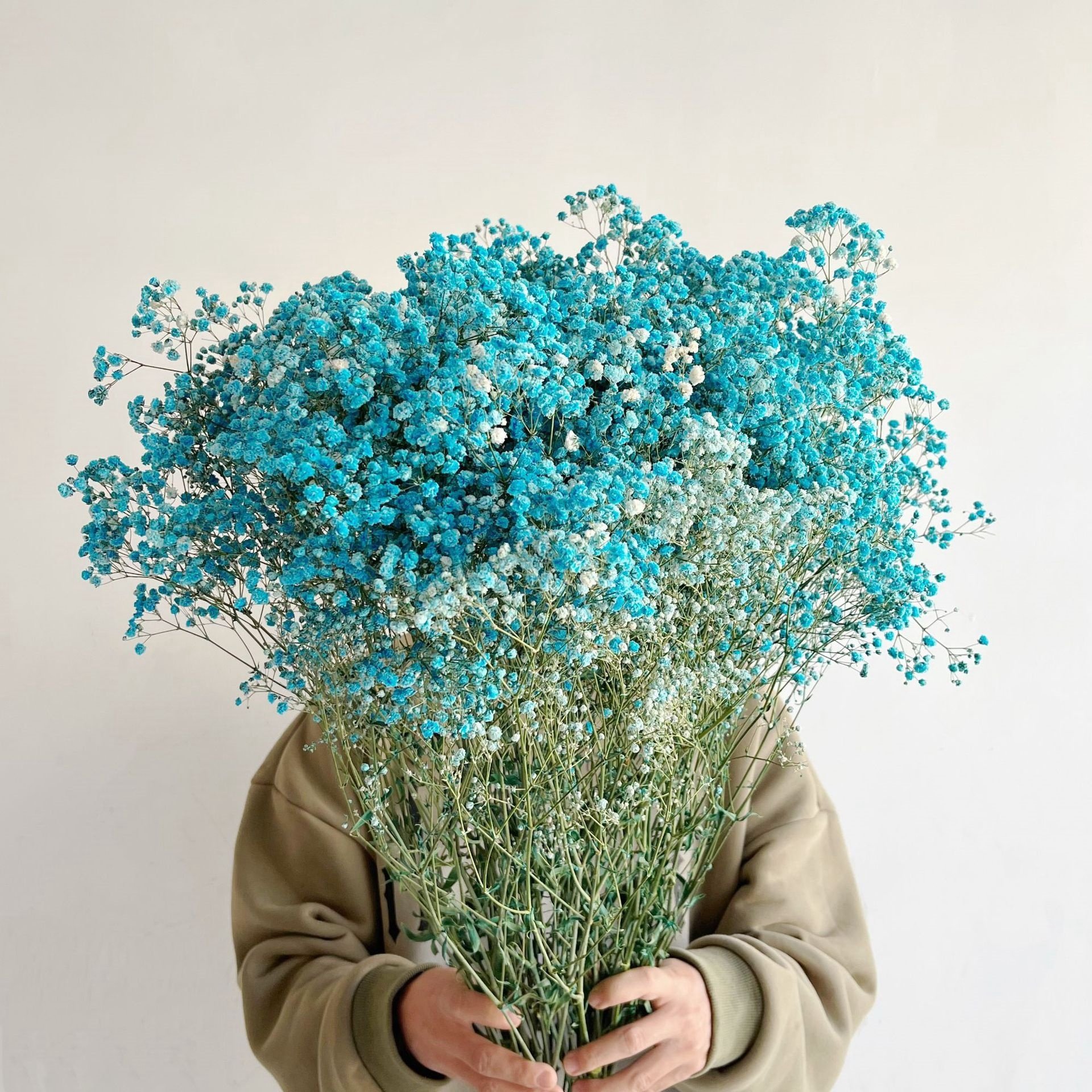 Dried Flower Decoration Gypsophila Preserved Dried Babysbreath Flower Gypsophila For Wedding