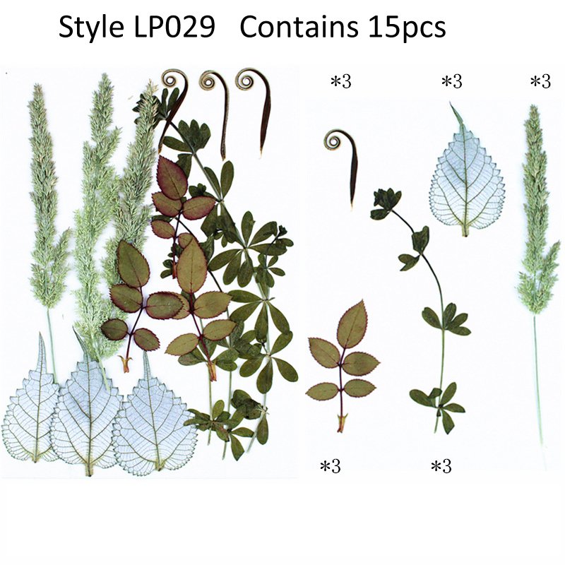 Factory Supply Mixed Multiple Dried Flower Plants Embossed Material True Leaf Plant Specimen Real Dry Pressed Flower Resin