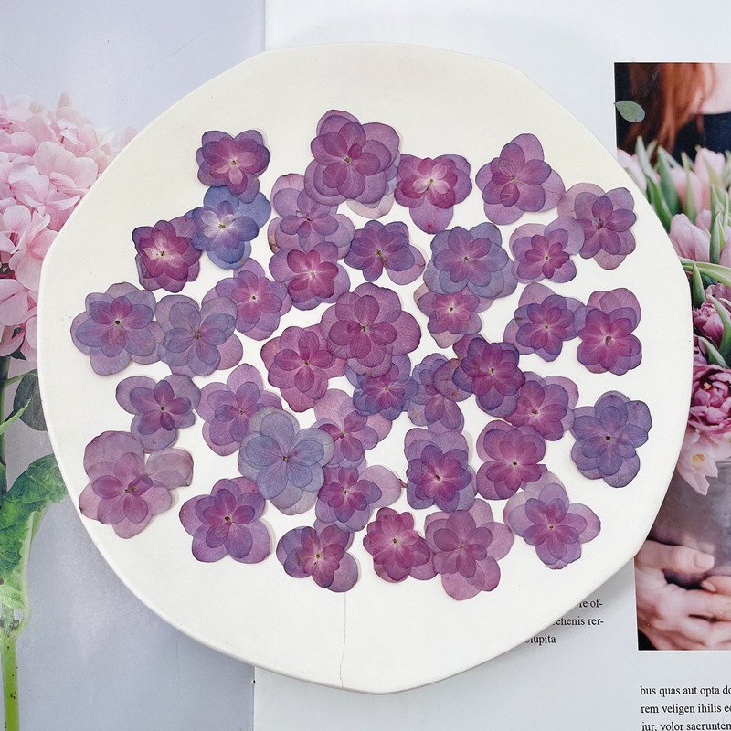 Real Double Layered Petal Purple Hydrangea for Phone Cases Handmade Soap DIY Crafts